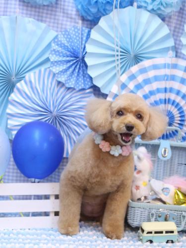 20231109モンチちゃん